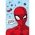 Front - Spider-Man Microflannel Star Blanket
