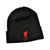 Front - Liverpool FC Unisex Adult Bronx Liver Bird Knitted Turned Up Cuff Beanie