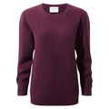 Front - Craghoppers Womens/Ladies Anja Sweater