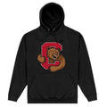 Front - Cornell University Unisex Adult Bear Hoodie