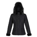 Front - Regatta Womens/Ladies Winslow Rochelle Humes Padded Jacket