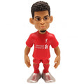 Front - Liverpool FC Luis Diaz MiniX Figure