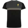 Front - Liverpool FC Childrens/Kids Panel T-Shirt