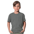 Real Grey - Back - Stedman Childrens-Kids Classic Organic T-Shirt