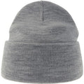 Light Grey - Front - Atlantis Unisex Adult Pure Recycled Beanie