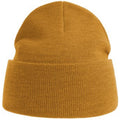 Mustard Yellow - Front - Atlantis Unisex Adult Pure Recycled Beanie
