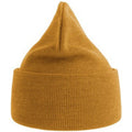 Mustard Yellow - Back - Atlantis Unisex Adult Pure Recycled Beanie