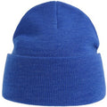 Royal Blue - Front - Atlantis Unisex Adult Pure Recycled Beanie