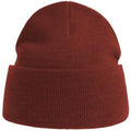 Rust - Front - Atlantis Unisex Adult Pure Recycled Beanie