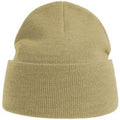 Beige - Front - Atlantis Unisex Adult Pure Recycled Beanie