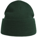 Bottle Green - Front - Atlantis Unisex Adult Pure Recycled Beanie