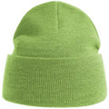 Acid Lime - Front - Atlantis Unisex Adult Pure Recycled Beanie