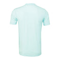 Ice Blue Triblend - Back - Canvas Triblend Crew Neck T-Shirt - Mens Short Sleeve T-Shirt