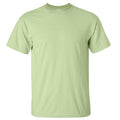 Pistachio - Front - Gildan Mens Ultra Cotton Short Sleeve T-Shirt