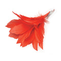 Red - Front - Bristol Novelty Black Feather Flower Clip