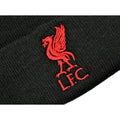 Black-Red - Side - Liverpool FC Unisex Adult Bronx Liver Bird Knitted Turned Up Cuff Beanie