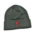 Charcoal-Red - Front - Liverpool FC Unisex Adult Bronx Liver Bird Knitted Turned Up Cuff Beanie