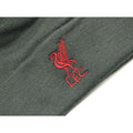 Charcoal-Red - Side - Liverpool FC Unisex Adult Bronx Liver Bird Knitted Turned Up Cuff Beanie