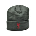 Charcoal-Red - Lifestyle - Liverpool FC Unisex Adult Bronx Liver Bird Knitted Turned Up Cuff Beanie