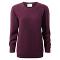 Winterberry - Front - Craghoppers Womens-Ladies Anja Sweater