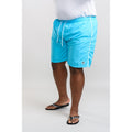 Blue - Lifestyle - D555 Mens Yarrow Full Length Swim Shorts