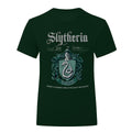 Forest Green - Front - Harry Potter Unisex Adult Slytherin T-Shirt
