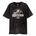 Vintage Black - Front - Jurassic Park Unisex Adult Logo T-Shirt