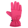 Pink - Front - Mountain Warehouse Womens-Ladies Ski Gloves