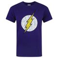 Purple - Front - DC Comics Mens Flash Distressed Logo T-Shirt