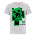 Grey - Front - Minecraft Boys Creeper Inside T-Shirt