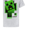 Grey - Lifestyle - Minecraft Boys Creeper Inside T-Shirt