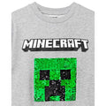 Grey - Lifestyle - Minecraft Childrens-Kids Sequin Flip Sweatshirt