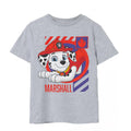 Grey Marl - Front - Paw Patrol Boys Marshall T-Shirt
