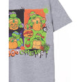 Grey - Lifestyle - Teenage Mutant Ninja Turtles Childrens-Kids Boo Crew Marl T-Shirt