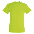 Apple Green - Front - SOLS Mens Regent Short Sleeve T-Shirt