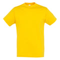 Gold - Front - SOLS Mens Regent Short Sleeve T-Shirt