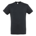 Mouse Grey - Front - SOLS Mens Regent Short Sleeve T-Shirt