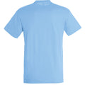 Sky Blue - Back - SOLS Mens Regent Short Sleeve T-Shirt