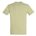 Green Sage - Front - SOLS Mens Regent Short Sleeve T-Shirt