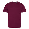 Burgundy - Front - Ecologie Mens Organic Cascades T-Shirt