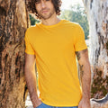 Mustard Yellow - Back - Ecologie Mens Organic Cascades T-Shirt