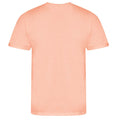 Soft Peach - Back - Ecologie Mens Organic Cascades T-Shirt
