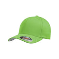 Fresh Green - Front - Flexfit Unisex Wooly Combed Cap
