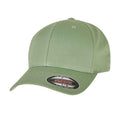 Dark Leaf Green - Front - Flexfit Unisex Wooly Combed Cap