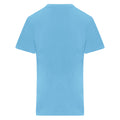 Sky Blue - Back - PRO RTX Mens Pro T-Shirt