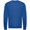 Royal Blue - Back - Awdis Mens Organic Sweatshirt