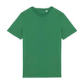 Green Fields - Front - Native Spirit Unisex Adult T-Shirt