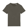 Organic Khaki - Front - Native Spirit Unisex Adult T-Shirt