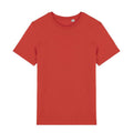 Paprika Red - Front - Native Spirit Unisex Adult T-Shirt