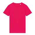 Raspberry Sorbet - Front - Native Spirit Unisex Adult T-Shirt